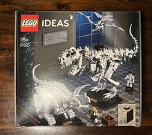 Lego Ideas Dinosaurier Fossilien Lego 21320