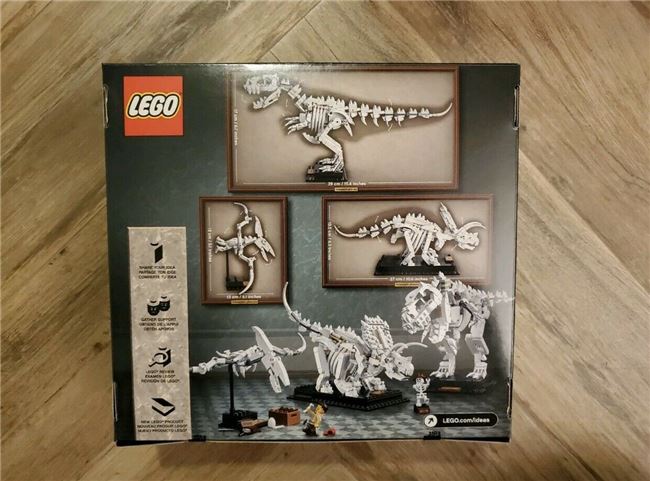 2019 Ideas Dinosaur Fossils, Lego 21320, Christos Varosis, Ideas/CUUSOO, Image 3
