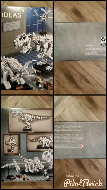 2019 Ideas Dinosaur Fossils, Lego 21320, Christos Varosis, Ideas/CUUSOO, Image 5