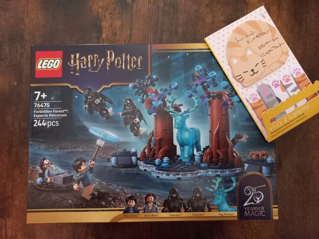76475 Harry Potter: Forbidden Forest - Expecto Petronum, Lego 76475, Lindi Kirtsen, Harry Potter, Cape Town