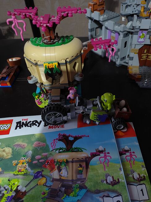 Angry birds, Lego, Nicola Irving , The Angry Birds, West Dunbartonshire , Image 3