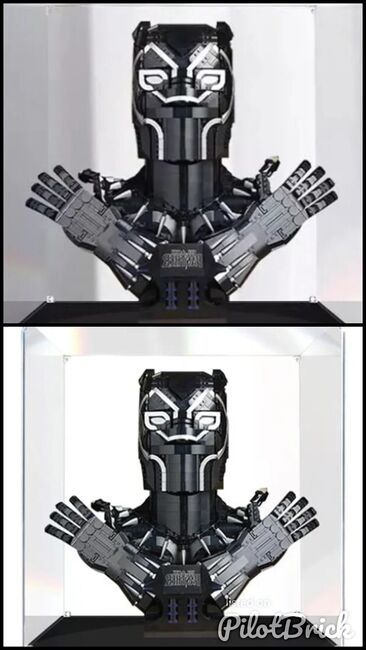 Black panther set, Lego 76215, SHAWN COLEMAM, Marvel Super Heroes, Bexhill-on-Sea, Image 3