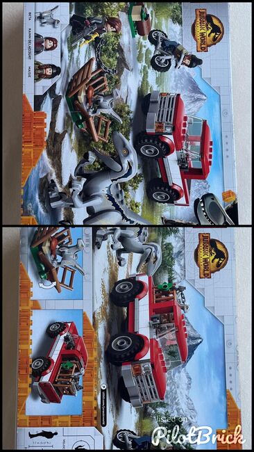 Blue & Beta in der Velociraptor-Falle, Lego 76946, Caio Heinrich, Jurassic World, Dresden, Image 3