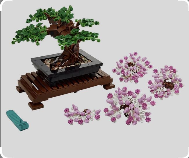 Bonsai Tree, Lego 10281, Harold Verster, Creator, Pretoria