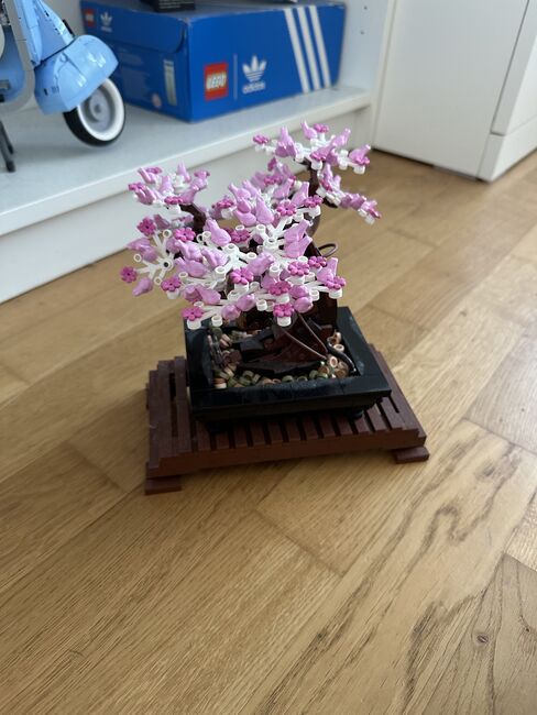 Botanical Collection Bonsai Tree, Lego 10281, Tea Kozar, Diverses, Bern