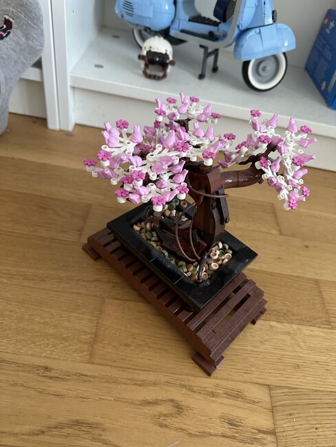 Botanical Collection Bonsai Tree, Lego 10281, Tea Kozar, Diverses, Bern, Abbildung 2