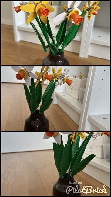 Botanical Collection Daffodils, Lego 40646, Tea Kozar, other, Bern, Image 4