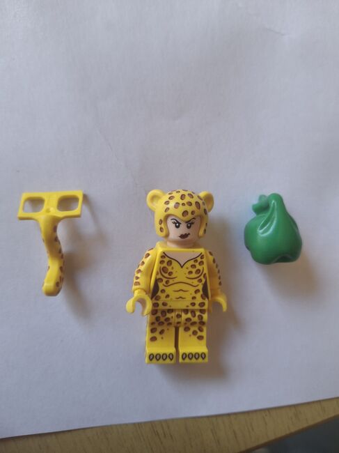 Cheetah Cmf, Lego Colsh06, Morgan Rossouw, Minifigures, Nelspruit