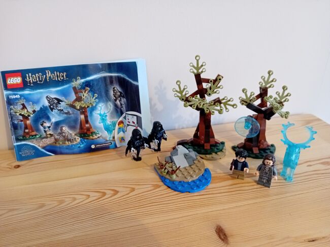 Expecto Patronum, Lego 75945, Cheryl Drew, Harry Potter, COLCHESTER, Image 2