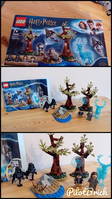 Expecto Patronum, Lego 75945, Cheryl Drew, Harry Potter, COLCHESTER, Image 4