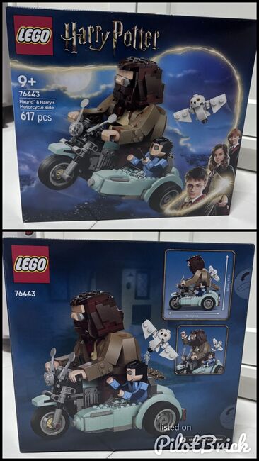 Hagrid & Harry Motorcylce Ride, Lego 76443, Hannah Haziqah, Harry Potter, Singapore, Image 3