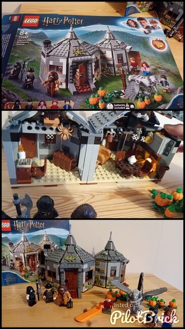 Hagrid's hut - Buckbeak's rescue, Lego 75947, Cheryl Drew, Harry Potter, COLCHESTER, Image 4