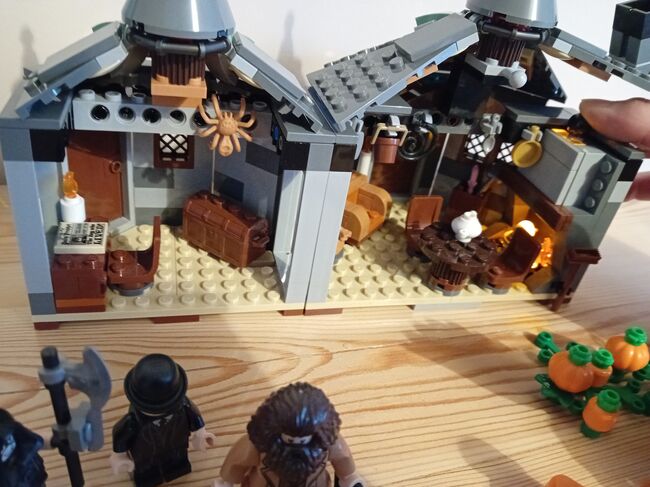 Hagrid's hut - Buckbeak's rescue, Lego 75947, Cheryl Drew, Harry Potter, COLCHESTER, Image 3