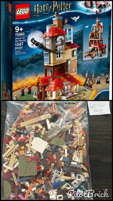 Harry Potter Attack on the Burrow, Lego 75980, Henk Visser, Harry Potter, Johannesburg, Image 3