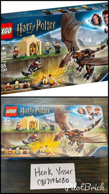Harry Potter Hungarian Horntail Triwizard Challenge, Lego 75946, Henk Visser, Harry Potter, Johannesburg, Abbildung 3