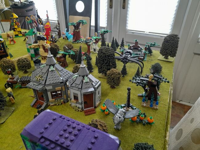 Harry Potter Lego Extensive Collection, Lego Collection made from 50 sets, Paul Beattie, Harry Potter, Omagh, Image 23