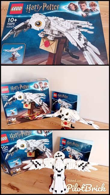 Hedwig Harry's Owl, Lego 75979, Cheryl Drew, Harry Potter, COLCHESTER, Image 4