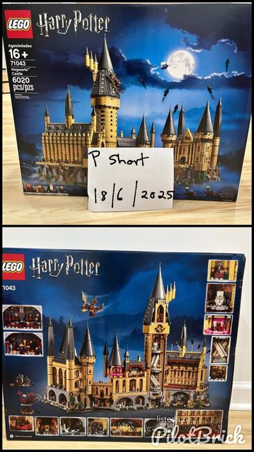 Hogwarts castle 71043, Lego 71043, Payton short, Harry Potter, Johannesburg , Image 3