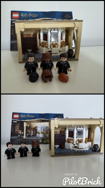 Hogwarts poly juice potion mistake., Lego 76386, Georgia Bottger, Harry Potter, Cape Town , Abbildung 3