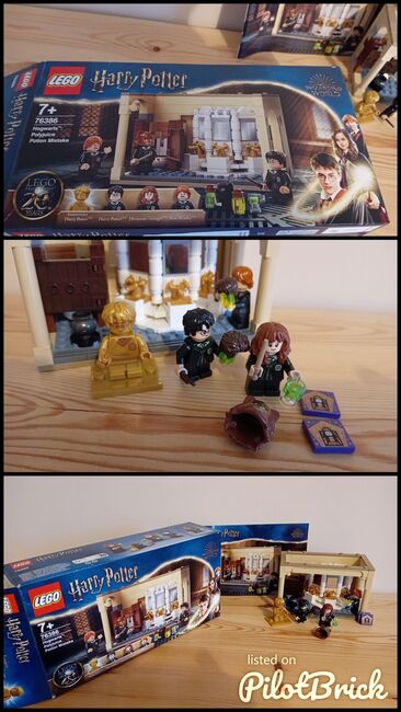 Hogwarts polyjuice potion mistake, Lego 76386, Cheryl Drew, Harry Potter, COLCHESTER, Image 4