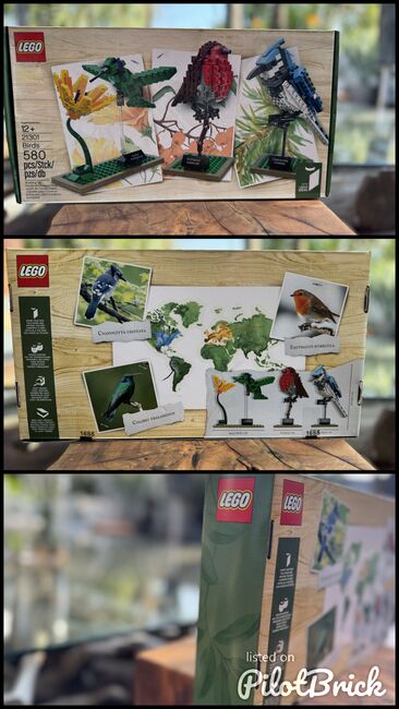 Ideas Birds, Lego 21301, Laurin Jean McLaren, Ideas/CUUSOO, Gauteng, Image 4