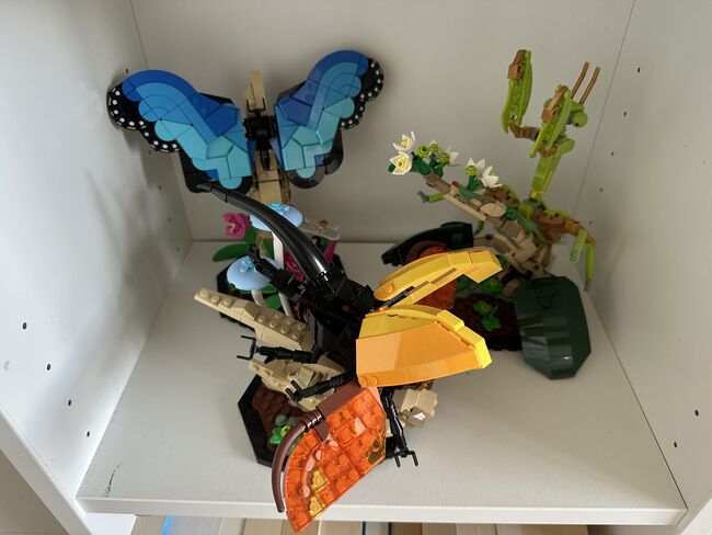 Insect Collection, Lego 21342, Tea Kozar, Diverses, Bern, Abbildung 2