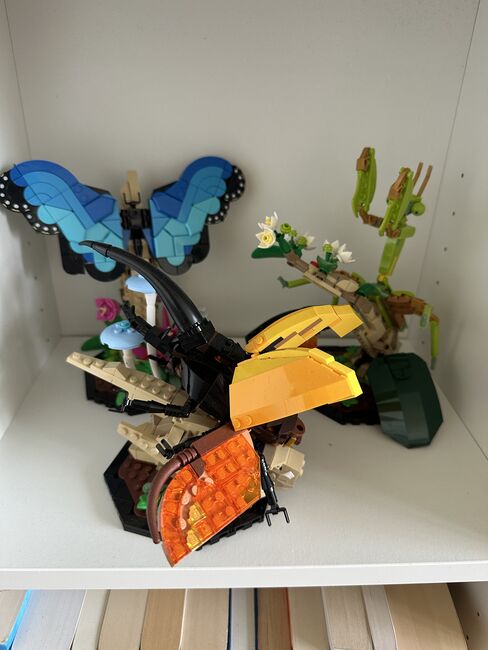 Insect Collection, Lego 21342, Tea Kozar, Diverses, Bern