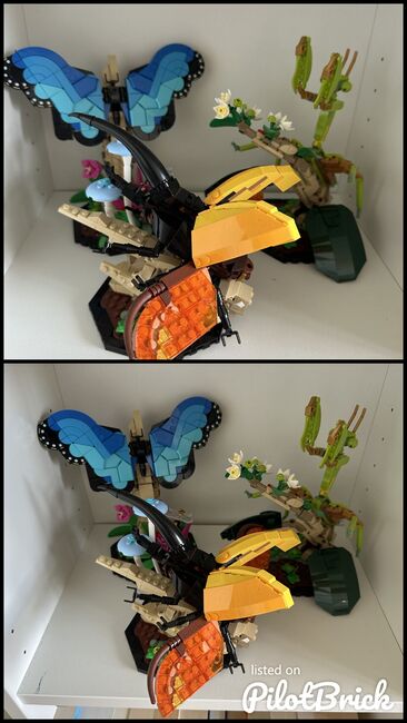 Insect Collection, Lego 21342, Tea Kozar, Diverses, Bern, Abbildung 3