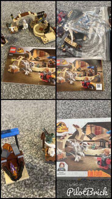 Jurassic world Atrociraptor Dinosaur Bike Chase, Lego 76945, Kirsty, Jurassic World, Image 8