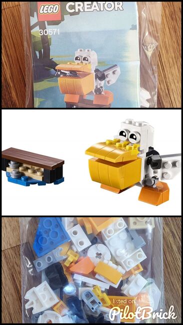 LEGO 30571 Pelican Polybag, Lego 30571 , Ivan, Exclusive, Bromhof, Randburg , Image 4