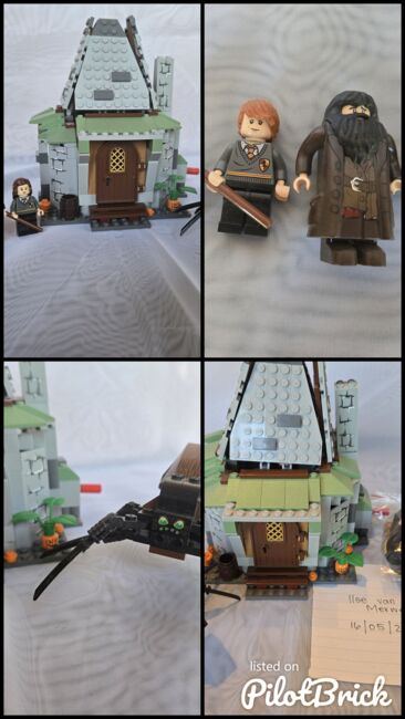 LEGO 4738 Hagrid's Hut, Lego 4738, Ilse, Harry Potter, Johannesburg, Abbildung 6