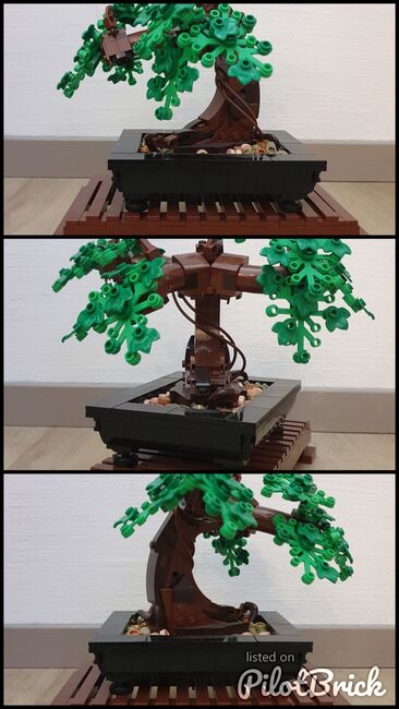 LEGO Bonsai, Lego 10281, Quinn, other, Bassersdorf, Image 4