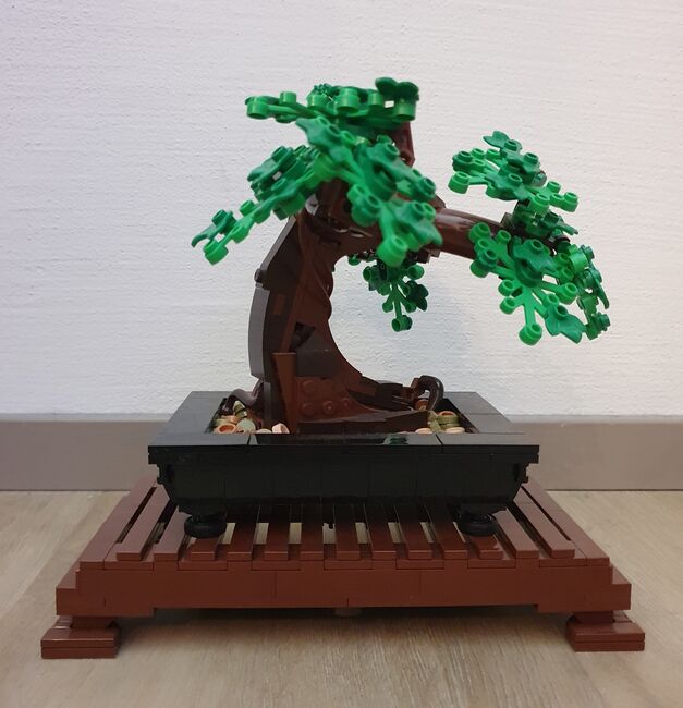 LEGO Bonsai, Lego 10281, Quinn, other, Bassersdorf, Image 3