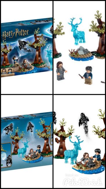 LEGO Expecto Patronum 75945, Lego 75945, Davide DR, Harry Potter, Wettingen, Abbildung 5