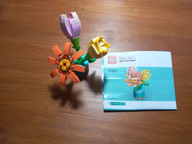 Lego Friends: Friendship Flowers set 30634, Lego 30634, Eckhard Meyer, Friends, Bloemfontein