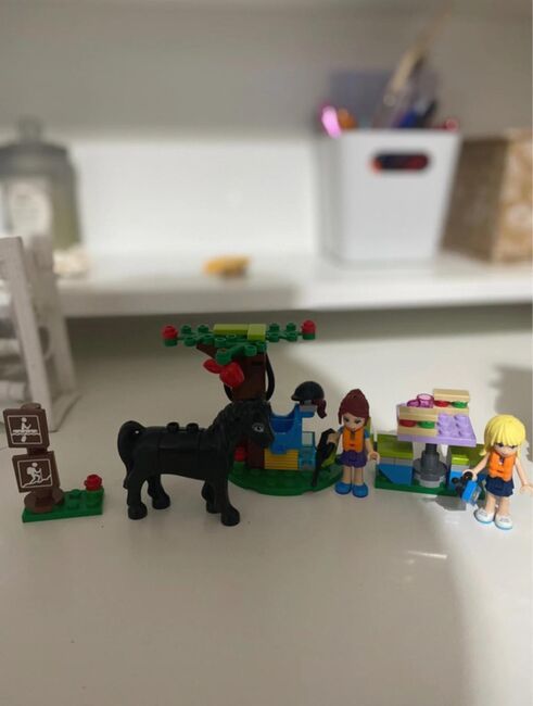 Lego Friends Mia’s Camper Van, Lego 41339, Keira Morgan, Friends, Bridgend , Image 3