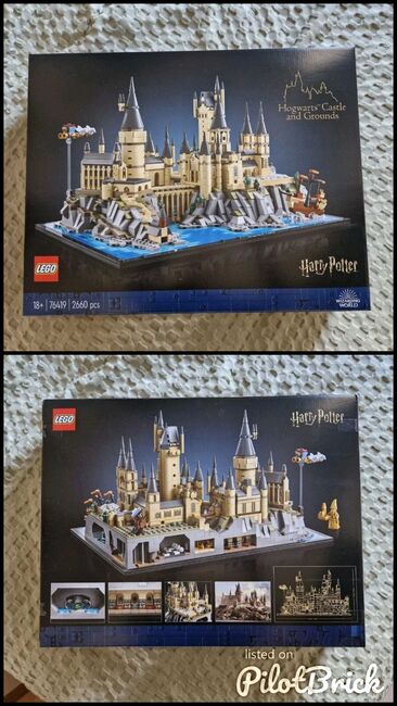 LEGO Harry Potter Hogwarts Castle and Grounds Big Set 76419, Lego 76419, Tanish Balaji, Harry Potter, Southend, Image 3