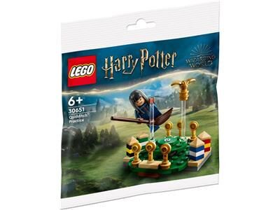 LEGO Harry Potter Ravenclaw Quitich Practice, Lego 30651, Settie Olivier, Harry Potter, Garsfontein , Image 3