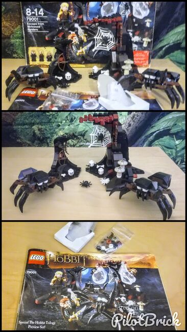 Lego The Hobbit Escape from Mirkwood Spiders set 79001, Lego 79001, Richard , The Hobbit, Rainhill, Image 4