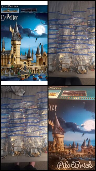 Lego Hogwarts 71043, Lego 71043, Jason, Harry Potter, Tipton, Image 7