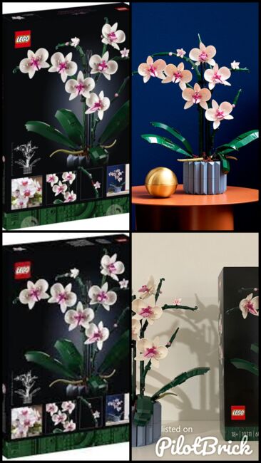 LEGO® ICONS Orchid Plant Decor Building Kit, Lego 10311, Nelson, Ideas/CUUSOO, Benoni, Image 5