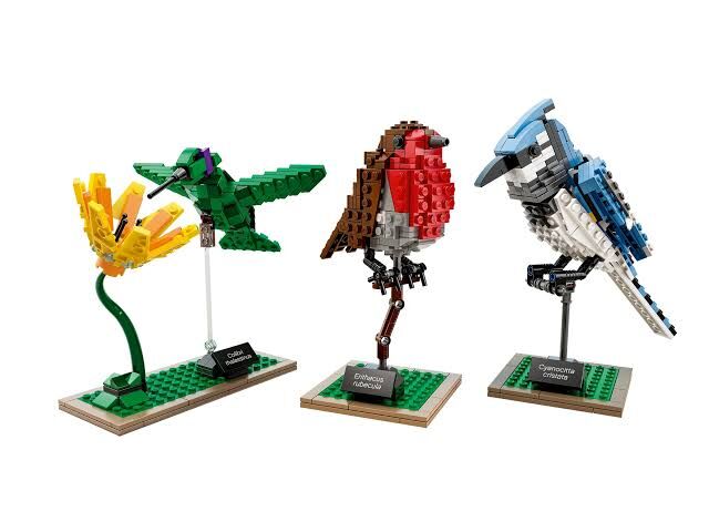 Lego Ideas Birds, Lego, Dream Bricks (Dream Bricks), Ideas/CUUSOO, Worcester, Abbildung 2