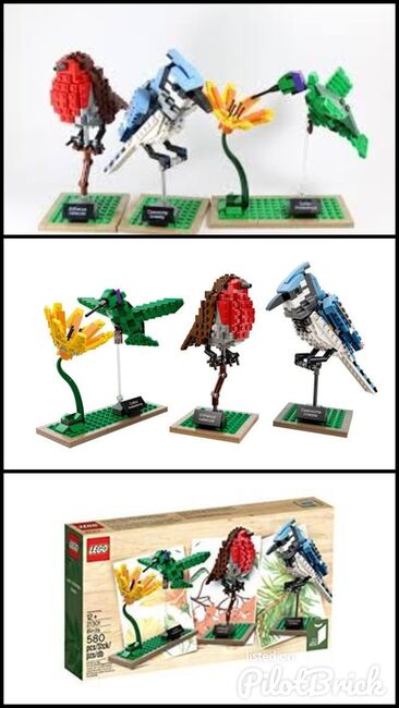 Lego Ideas Birds, Lego, Dream Bricks (Dream Bricks), Ideas/CUUSOO, Worcester, Abbildung 4