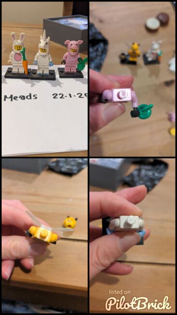 Lego mini series figures, Lego, Jodie Meads, Minifigures, Bournemouth, Abbildung 8