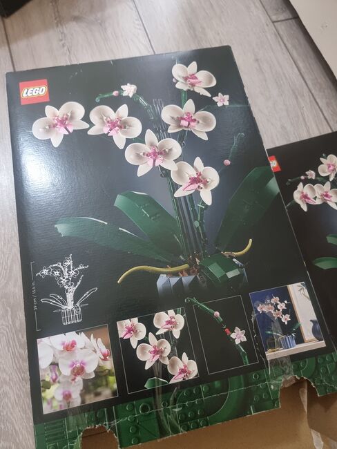 Lego Orchid, Botanical Collection, Lego, Chels, Designer Set, Abbildung 2