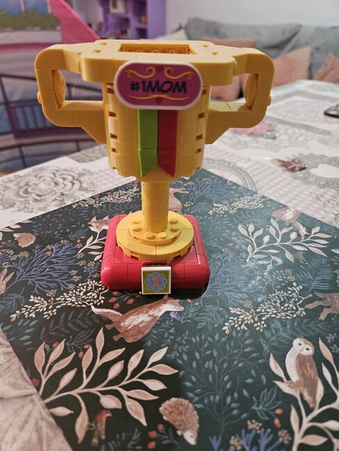 Lego trophy, Lego, Neil, other, Nottingham