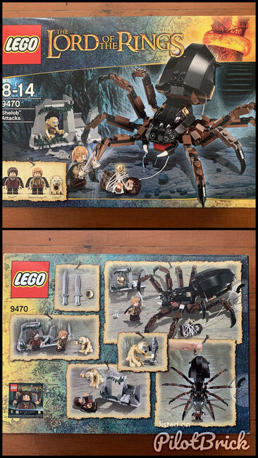 Lord of the Rings: Shelob Attacks, Lego 9470, Brad, Lord of the Rings, Port Elizabeth, Image 3
