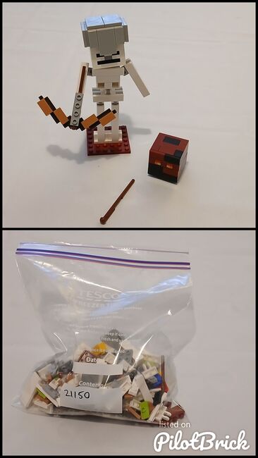 Minecraft Skeleton Bigfig with Magma Cube, Lego 21150, Giles, Minecraft, Exeter, Abbildung 3