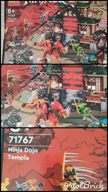 NINJA DOJO TEMPLE, Lego 71767, Mandy Bleach, NINJAGO, East London, Abbildung 4