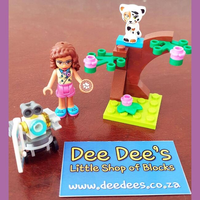 Olivia’s Mission Vehicle, Lego 41333, Dee Dee's - Little Shop of Blocks (Dee Dee's - Little Shop of Blocks), Friends, Johannesburg, Abbildung 9